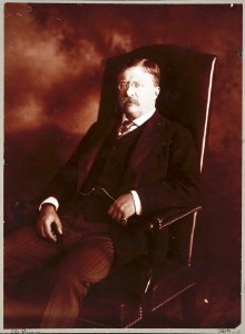 Theodore Roosevelt, three-quarter length portrait, seated, facing left LCCN2010651714