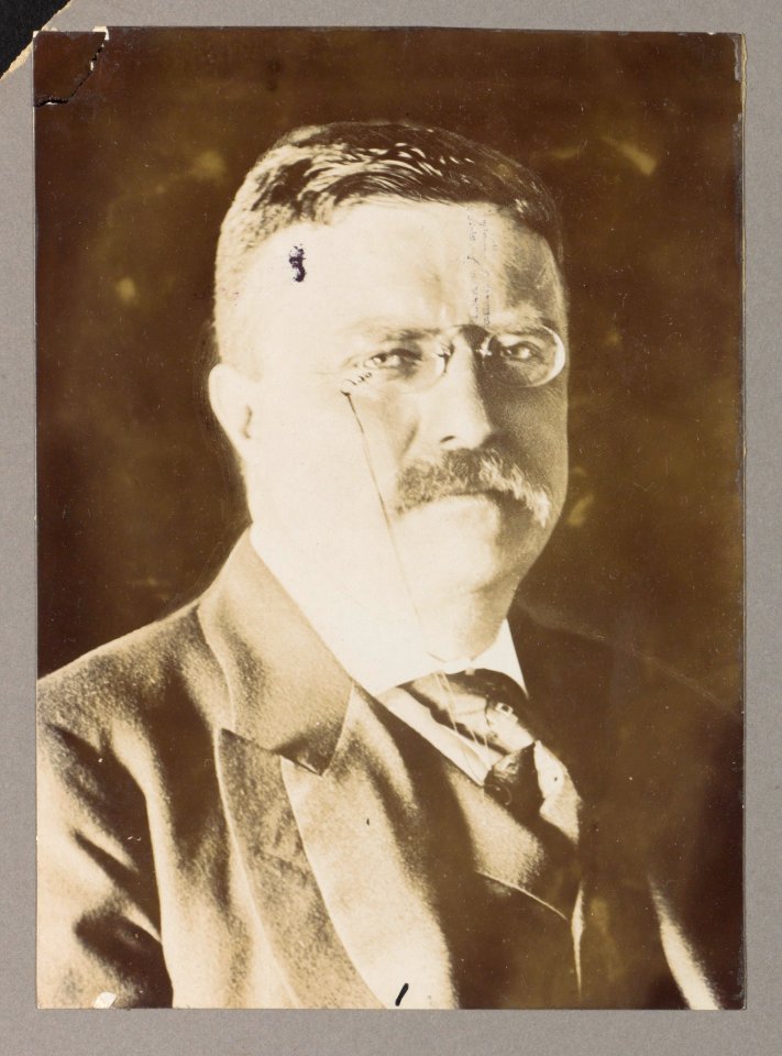 Theodore Roosevelt, Pres., head-and-shoulders portrait, facing right LCCN2013649809