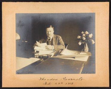 Theodore Roosevelt, seated at desk, roses in vase at right LCCN2013649631
