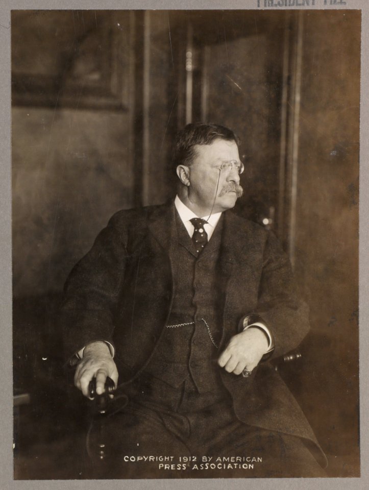 Theodore Roosevelt, three-quarter length portrait, seated, facing right LCCN93511353