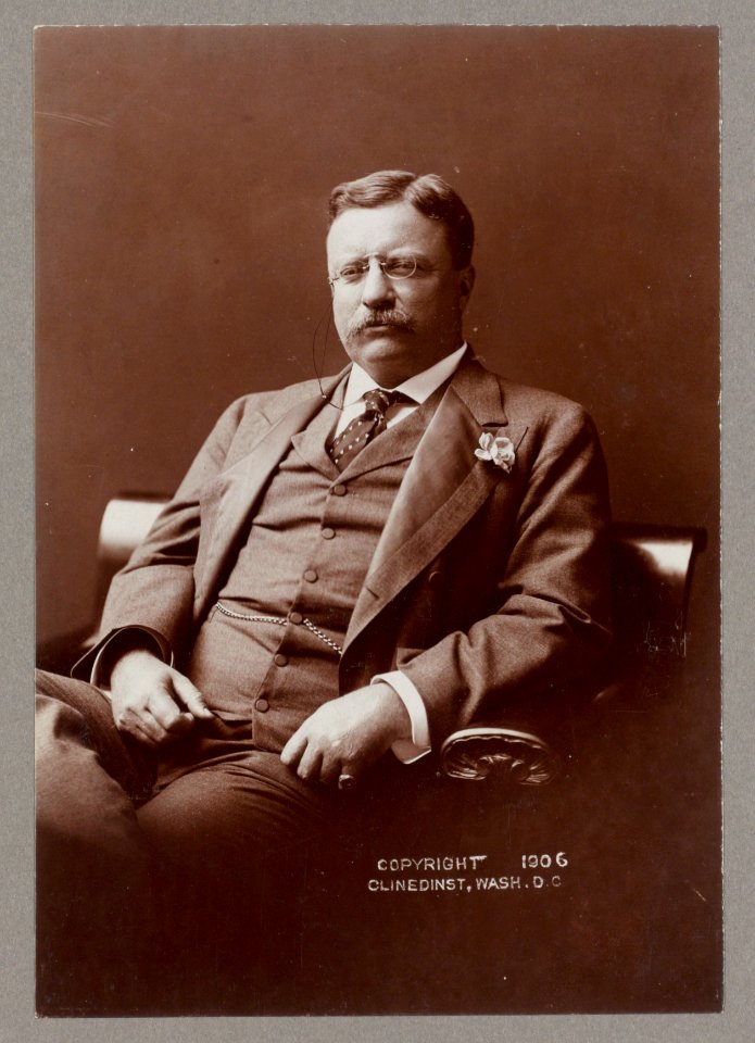 Theodore Roosevelt, three quarter-length portrait, seated left, facing forward, wearing flower in lapel LCCN2013649583