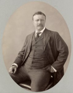 Theodore Roosevelt, three-quarter length portrait, seated, facing right LCCN92521938
