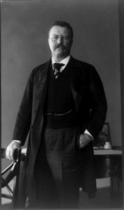 Theodore Roosevelt, three-quarter length portrait, standing LCCN2009633117