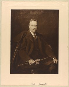 Theodore Roosevelt, three-quarter length portrait, sitting, holding a horse whip across his lap LCCN2013649841