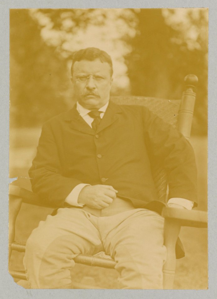 Theodore Roosevelt, three-quarter length portrait, seated LCCN2009631358