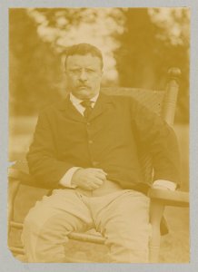 Theodore Roosevelt, three-quarter length portrait, seated LCCN2009631358