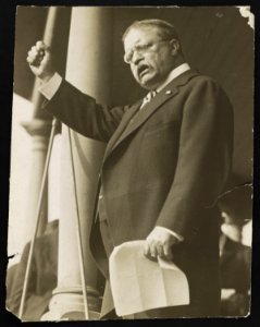 Theodore Roosevelt, three-quarter length portrait, standing, facing left, speaking LCCN2013650882