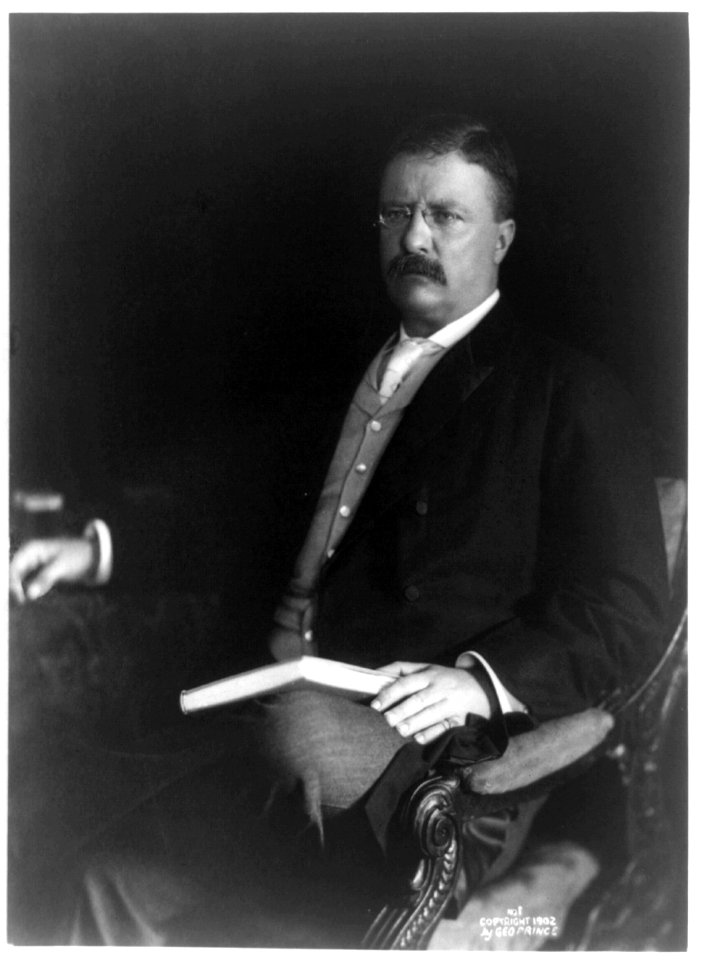 Theodore Roosevelt, three-quarter length portrait, seated, facing left LCCN93516203