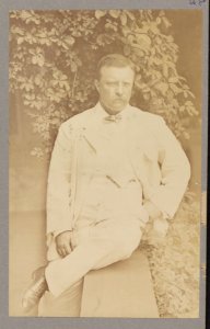 Theodore Roosevelt, three-quarters length portrait, facing front, seated with leg crossed on veranda LCCN2013649589