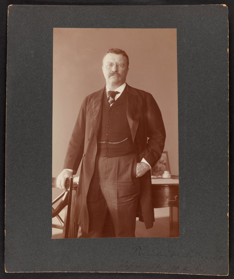 Theodore Roosevelt, three-quarter length portrait, standing LCCN2013649575