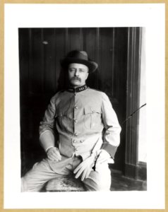 Theodore Roosevelt, three-quarter-length portrait, seated, facing front, in uniform LCCN2013649462
