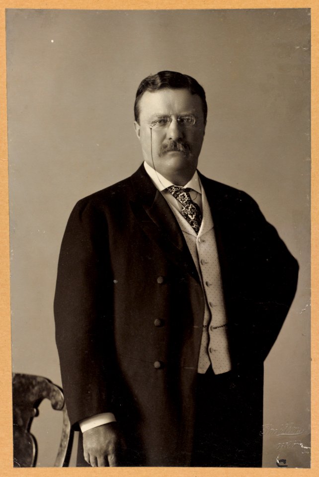 Theodore Roosevelt, three quarter length portrait, facing front LCCN2009631526