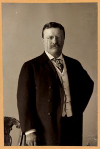 Theodore Roosevelt, three quarter length portrait, facing front LCCN2009631526