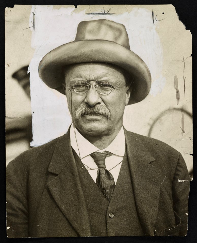 Theodore Roosevelt, three-quarter length portrait, facing front LCCN2013650901