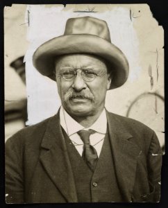 Theodore Roosevelt, three-quarter length portrait, facing front LCCN2013650901
