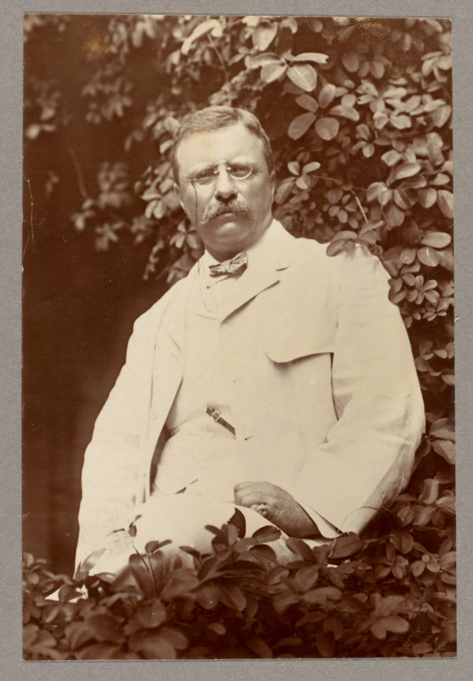 Theodore Roosevelt, three-quarters length, facing front, seated on veranda surrounded by tree leaves LCCN2013649590