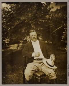 Theodore Roosevelt, three-quarter length portrait, outdoors, seated in a chair, facing front LCCN2009633121