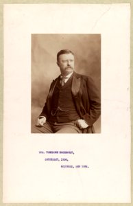 Theodore Roosevelt, three-quarter length portrait, seated, left hand in pocket, facing right LCCN89706855