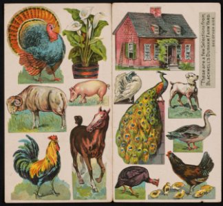 These are a few selections from Blackwell's Durham farm yard LCCN2015647825