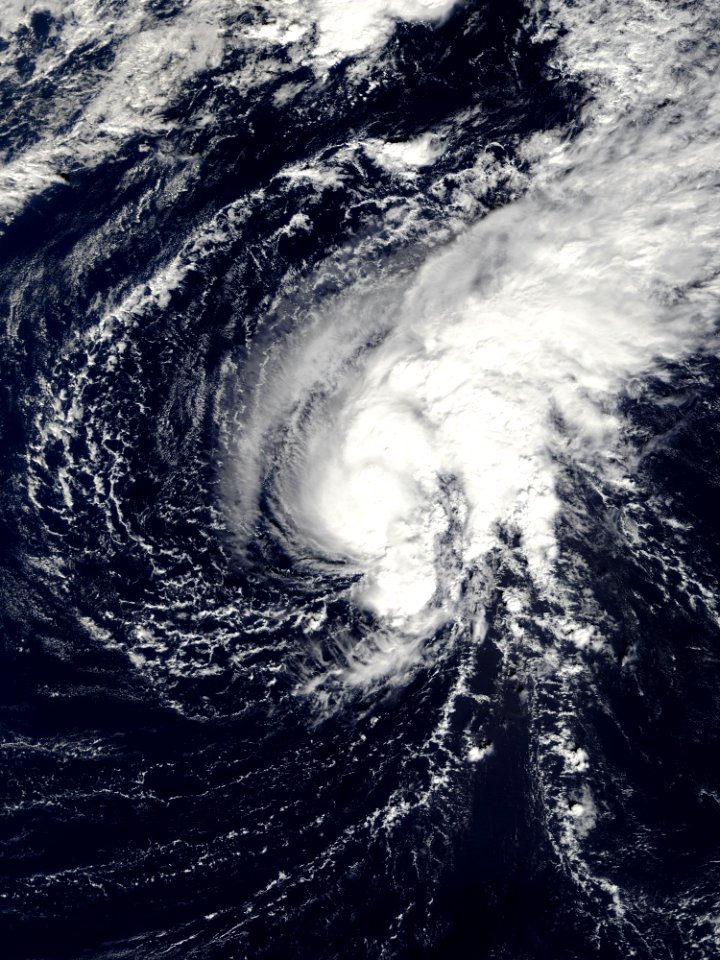 Tropical Depression 25W (2009)