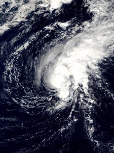 Tropical Depression 25W (2009)