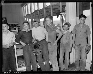 These children of miners have formed a baseball team. Union Pacific Coal Company, Reliance Mine, Reliance, Sweetwater... - NARA - 540570
