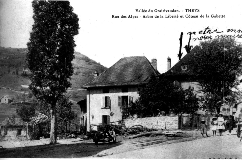 Theys, rue des Alpes, arbre de la liberté et coteau de la Gabette, 1908, p249 de L'Isère les 533 communes - collection L P Grenoble 