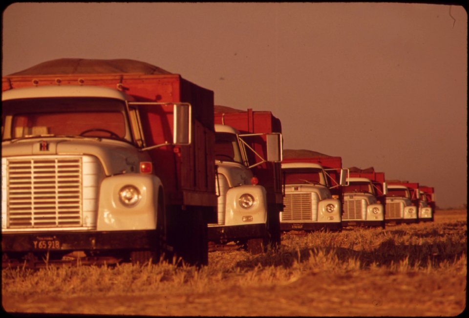 These-trucks-will-be-loaded-with-barley-grown-in-the-imperial-valley-may-1972 7136508961 o