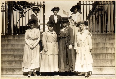 This delegation of officers of the National American Woman Suffrage Association received from . . . - NARA - 533767