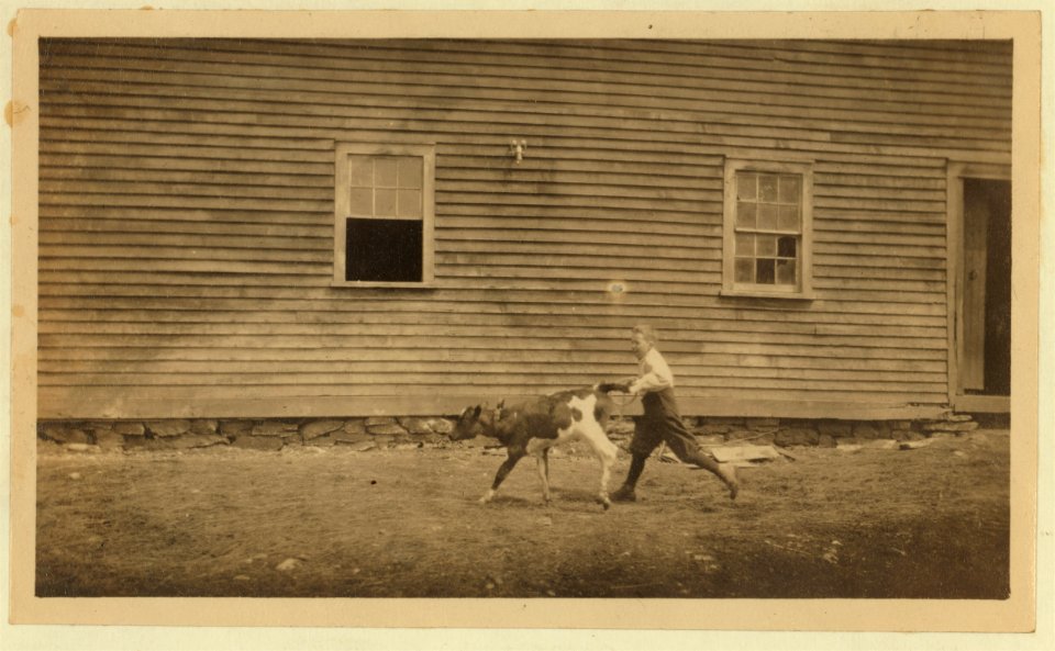 This is recreation for Jack. See Hine Report, Rural Child Labor, August 1915. LOC nclc.00289