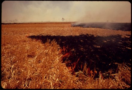 This-entire-field-of-straw-west-of-el-centro-in-the-imperial-valley-burned-off-in-less-than-half-an-hour-smoke-was-visible-for-20-miles-owner-wished-to-clear-field-quickly-for-planting-another-crop-may-1972 6990297858 o