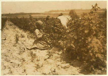 This little six-year helper in Rock Creek berry field, near Baltimore, Md., was working hard. They begin about 4-30 A.M. and sometimes work until sunset. Her family (Scholtz) has been LOC nclc.00020