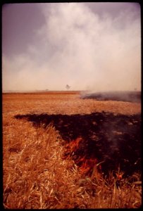 This-entire-field-of-straw-west-of-el-centro-in-the-imperial-valley-burned-off-in-less-than-half-an-hour-smoke-was-visible-for-20-miles-owner-wished-to-clear-field-for-quick-planting-of-another-crop-may-1972 7136380051 o