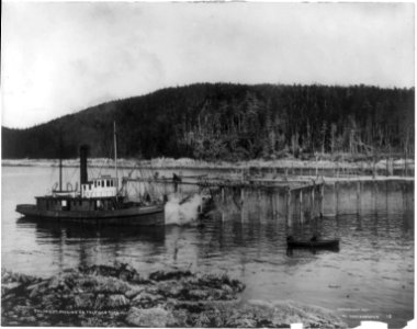 Thlingey Packing Co. trap no. 6., Aug. 2, 1907 LCCN2002698996