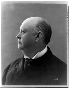 Thomas Brackett Reed, 1839-1902, bust portrait, left profile LCCN2005691350