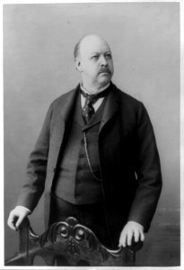 Thomas B. Reed, half-length portrait, standing, facing right LCCN99400532