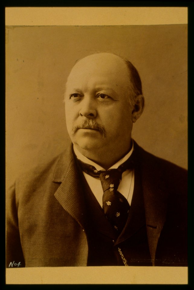 Thomas Brackett Reed, head-and-shoulders portrait, facing slightly left LCCN2001696916
