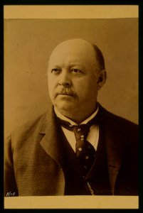 Thomas Brackett Reed, head-and-shoulders portrait, facing slightly left LCCN2001696916