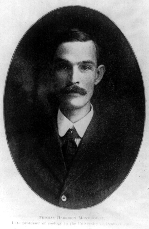 Thomas Harrison Montgomery, late professor of zoology in the University of Pennsylvania LCCN2005676606
