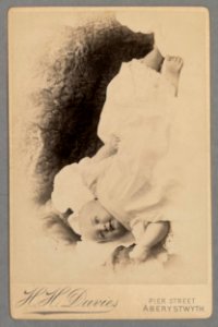 Thomas Iorwerth Ellis (5292078)