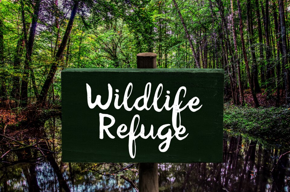 Nature reserve landscape protection reserve