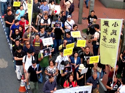香港各界發起反人大釋法大遊行和集會 08