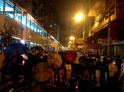 香港各界發起反人大釋法大遊行和集會 105