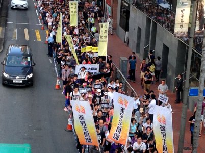 香港各界發起反人大釋法大遊行和集會 16