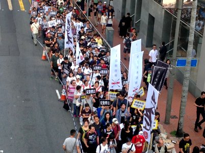 香港各界發起反人大釋法大遊行和集會 32