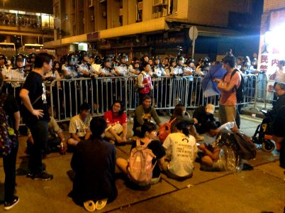 香港各界發起反人大釋法大遊行和集會 114