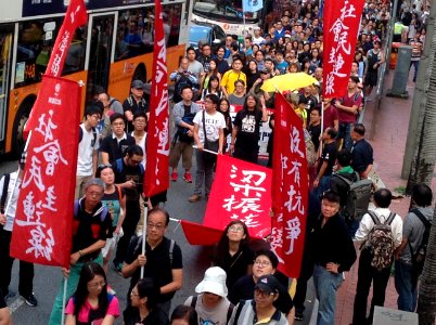 香港各界發起反人大釋法大遊行和集會 40