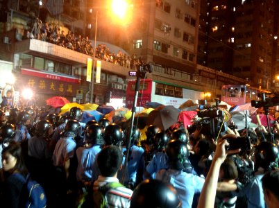 香港各界發起反人大釋法大遊行和集會 07