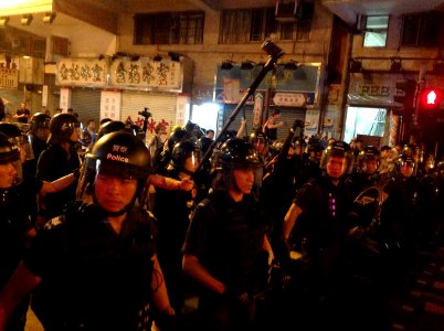 香港各界發起反人大釋法大遊行和集會 104