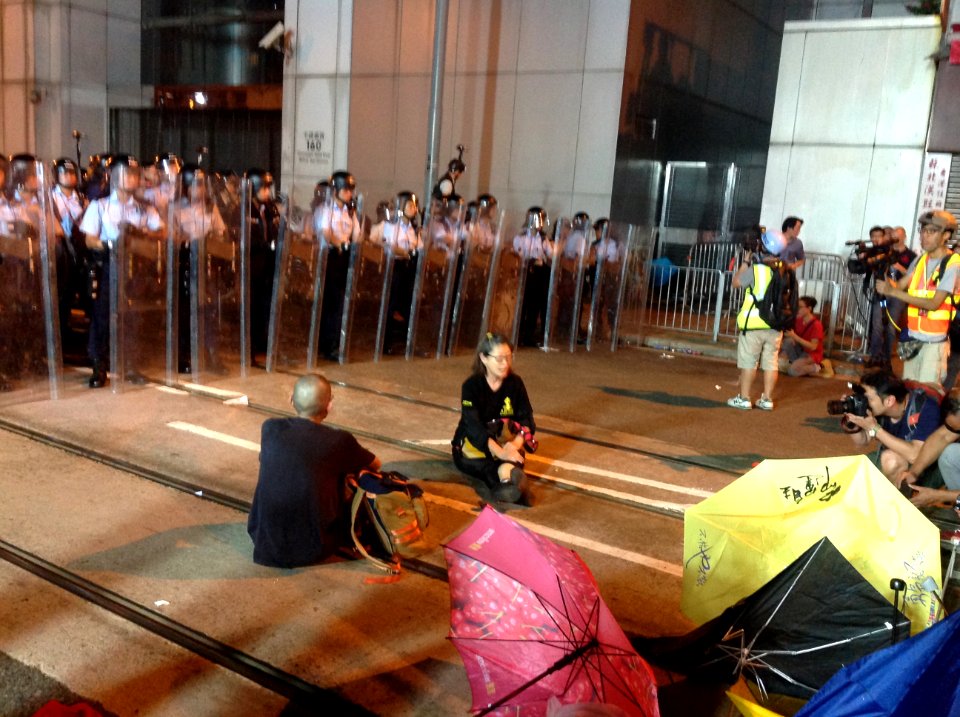 香港各界發起反人大釋法大遊行和集會 113